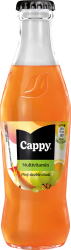 Cappy Multivitamin 24x250ml